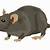 animated transparent picture of a rats gif