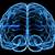 animation gif brain and information and file