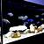 aquascaping african cichlid aquarium
