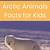 arctic animals facts ks2