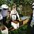 association des apiculteurs de basse-cour
