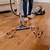 best cleaner for hardwood floors with dogs