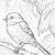 black capped chickadee coloring page