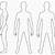 body shape drawing template