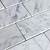 carrara white marble subway tile