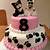 cat and dog cake ideas