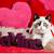 cat valentine aesthetic wallpaper