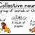collective nouns for animals poster