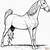coloring pages of a horse