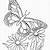 coloring pages of butterflies to print