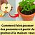 comment faire pousser des pommiers dans le jardin