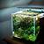 cube aquarium aquascape
