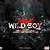 download lagu machine gun kelly wild boy mp3