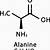 draw the skeletal structure of d-alanine