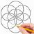 drawing the flower of life step by step