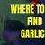 dreamlight valley where to find garlic