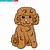 easy toy poodle drawing