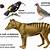 extinct animals meaning in gujarati