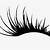 eyelashes animated png