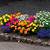 flower bed images free download