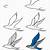 flying bird drawing easy step by step