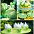 frog themed birthday party ideas