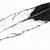golden eagle feather drawing