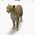 google 3d animals app name