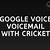 google voice cricket