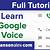 google voice tutorial 2015