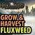 grow and harvest fluxweed hogwarts legacy