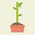 growing plant animated gif