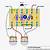 guitar delay circuit diagram