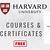 harvard university free programming courses