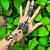 henna tattoo and water