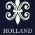 holland injury law st louis