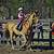 horseback riding in jacksonville fl