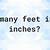 how many feet in 56 inches