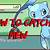 how to catch mew in diamond without action replay