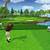 how to do instant replay on wii sports golf