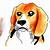 how to draw a beagle face step by step