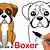 how to draw a boxer step by step