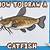 how to draw a catfish easy