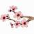 how to draw a cherry blossom branch step by step