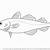 how to draw a cod fish