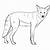 how to draw a coyote easy