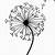 how to draw a dandelion seed head