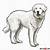 how to draw a great pyrenees easy