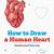 how to draw a human heart easy step by step