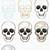 how to draw a human skull step by step